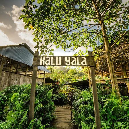 פנמה סיטי The Jungle Lodge At Kalu Yala מראה חיצוני תמונה