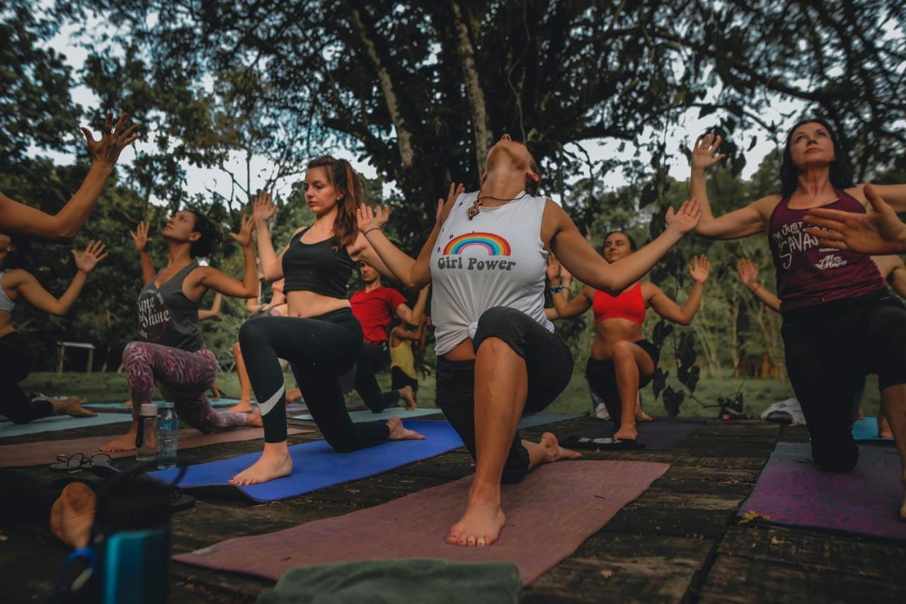 פנמה סיטי The Jungle Lodge At Kalu Yala מראה חיצוני תמונה