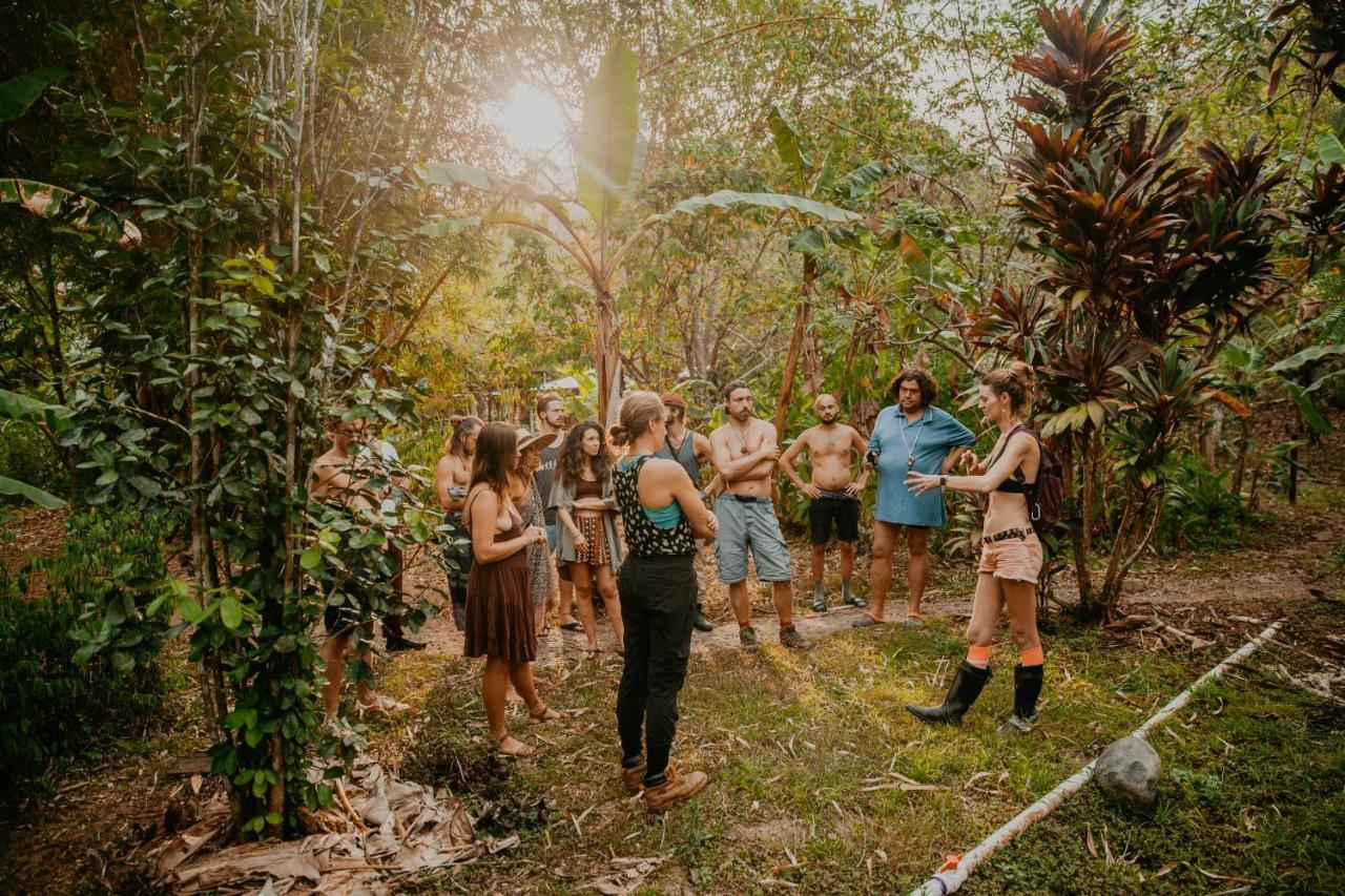 פנמה סיטי The Jungle Lodge At Kalu Yala מראה חיצוני תמונה