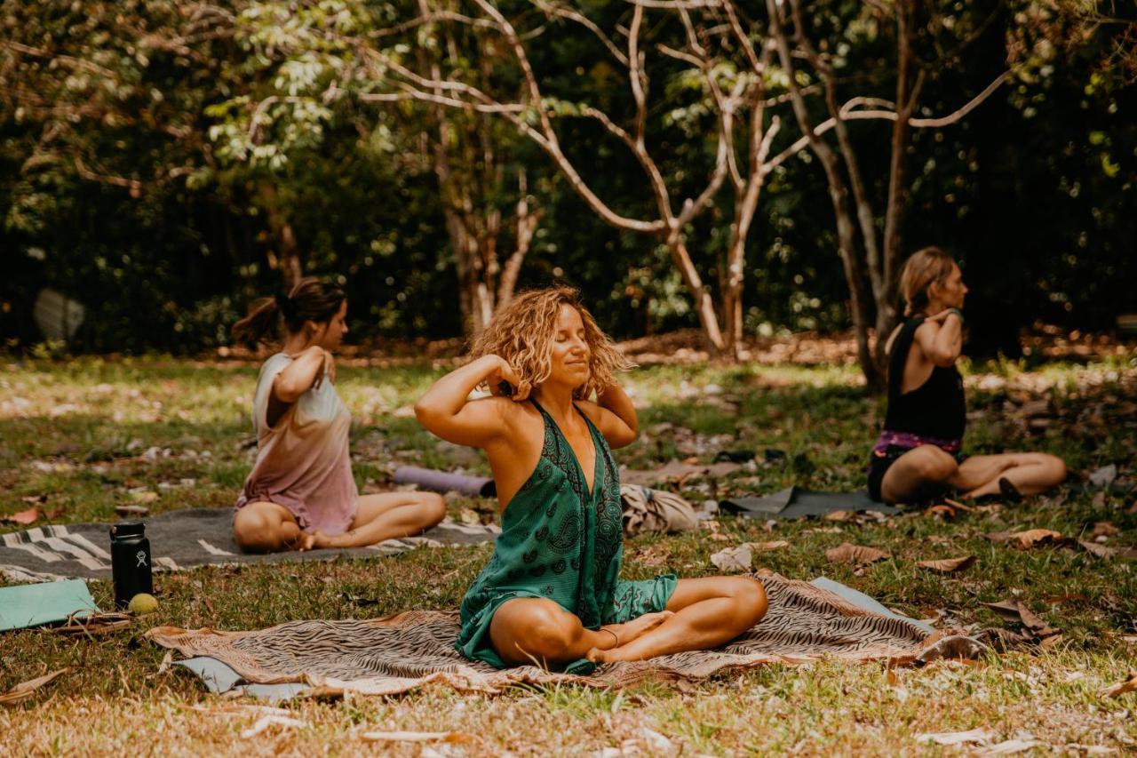 פנמה סיטי The Jungle Lodge At Kalu Yala מראה חיצוני תמונה