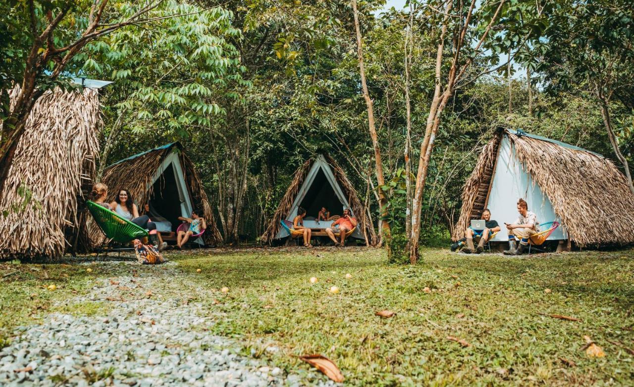 פנמה סיטי The Jungle Lodge At Kalu Yala מראה חיצוני תמונה